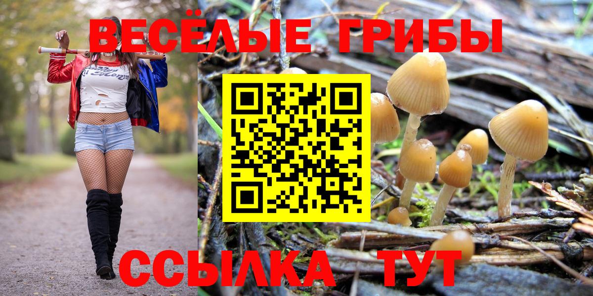 Галлюциногенные грибы мухоморы Ефремов