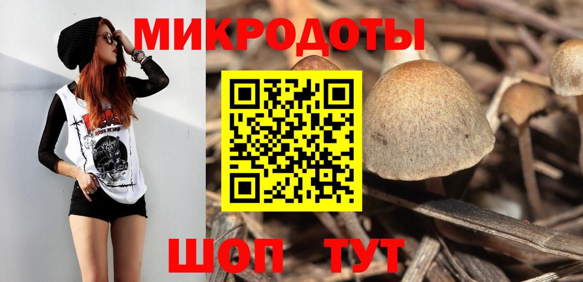 Ефремов  Галлюциногенные грибы Magic Shrooms  Галлюциногенные грибы прущие грибы  Вход с VPN 